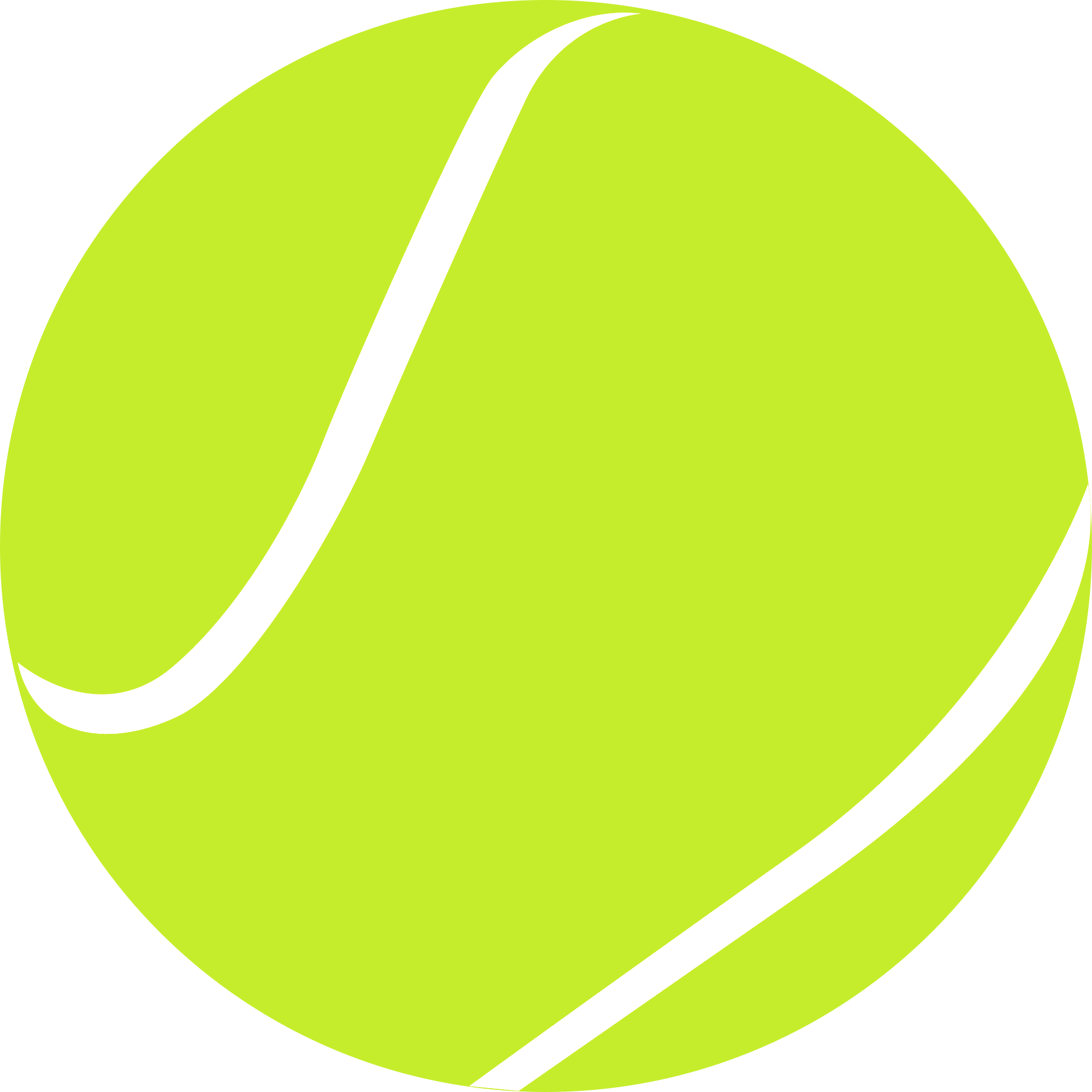 Puchała Tenis - logo